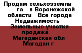 Продам сельхозземли ( 6 000 га ) в Воронежской области - Все города Недвижимость » Земельные участки продажа   . Магаданская обл.,Магадан г.